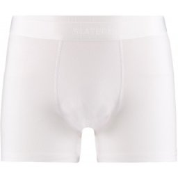 Slater Bamboo Boxer Shorts (two pack) White (art 8800)