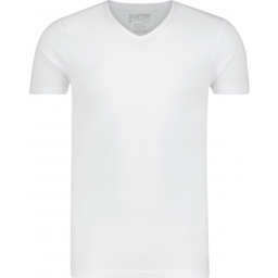 Slater V-Neck T-Shirt Tencel Stretch White (8200)